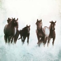 Horses Running through the Surf Fine Art Print
