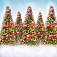 Oh Christmas Trees Fine Art Print