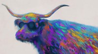 Multicolor Bull Fine Art Print