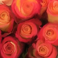 Peach Roses Fine Art Print
