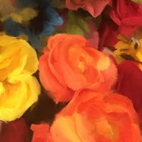 Rose Blooms Fine Art Print