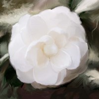 White Flower Fine Art Print