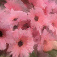 Pink Flowers Fine Art Print