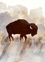 Buffalo Sunset Hill I Fine Art Print