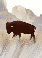 Buffalo Sunset Hill II Fine Art Print