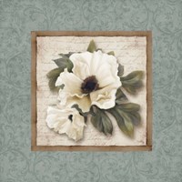 Silversage Flower I Fine Art Print
