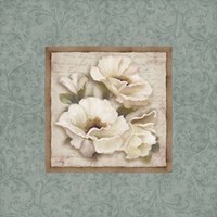 Silversage Flower II Framed Print