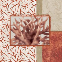 Coral Branch II Framed Print