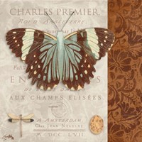 Butterfly on Display II Framed Print