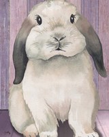 Bunny I Framed Print