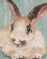 Bunny IV Fine Art Print
