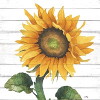 Happy Sunflower II Fine Art Print