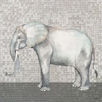 Introspective Elephant Framed Print