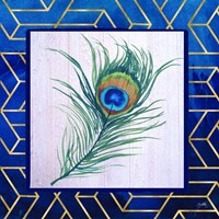 Peacock Feather I Fine Art Print