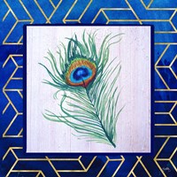 Peacock Feather II Framed Print