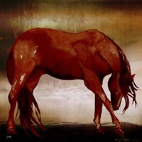 Red Horse I Fine Art Print
