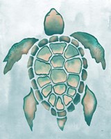 Aquatic Turtle I Fine Art Print