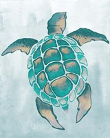 Aquatic Turtle II Framed Print