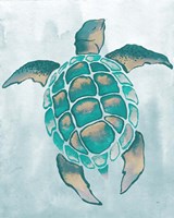 Aquatic Turtle II Fine Art Print