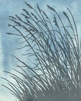 Tall Grasses on Blue I Framed Print