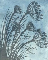 Tall Grasses on Blue II Framed Print