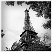 Last Day in Paris Fine Art Print