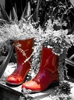 Rain Boots Fine Art Print