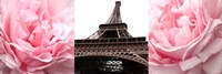 Pink Roses Eiffel Tower Fine Art Print