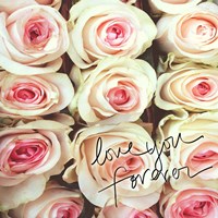 Forever Fine Art Print