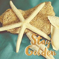 Stay Golden Fine Art Print