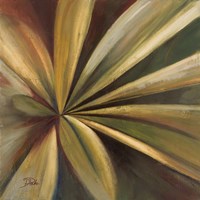 Abanico I Fine Art Print