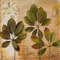 Botanica I Fine Art Print