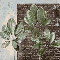 Botanica on Blue I Fine Art Print