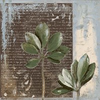 Botanica on Blue II Fine Art Print