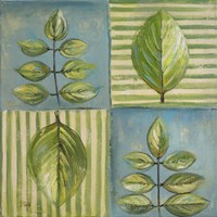 Natura II Fine Art Print