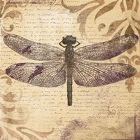 Dragonfly Fine Art Print