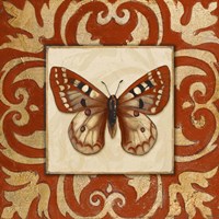 Moroccan Butterfly I Framed Print
