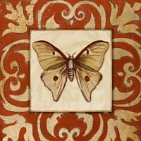 Moroccan Butterfly II Framed Print