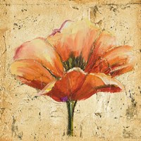 Poppy III Fine Art Print