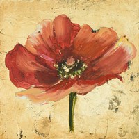 Poppy IV Fine Art Print