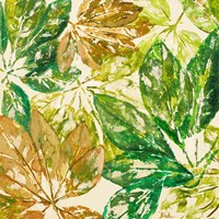 Green Overlay I Fine Art Print