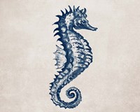 Surf Side Indigo II Framed Print