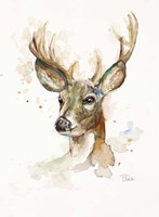 Deer Fine Art Print