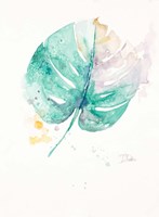Water Leaf Fine Art Print