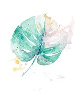 Water Leaf Fine Art Print
