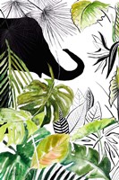 Elefante Negro II Fine Art Print