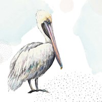 Turquoise Pelican Fine Art Print