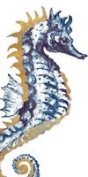 Surf Side Golden Blue Seahorse Fine Art Print