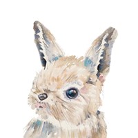 Baby Bunny Close Up Fine Art Print
