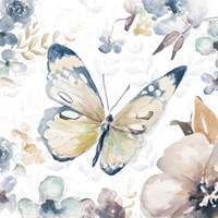 Butterfly Beauty II Fine Art Print